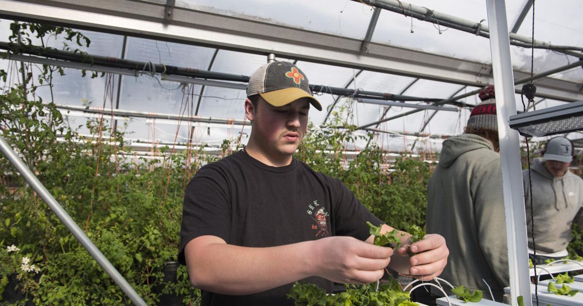 New West lettuce funds trip to NYC | Schools