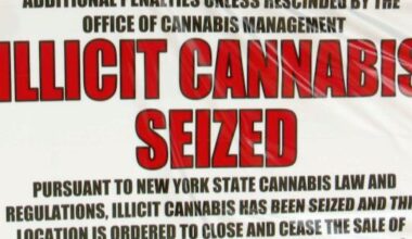 North Country smoke shop owner disputes state shutdown