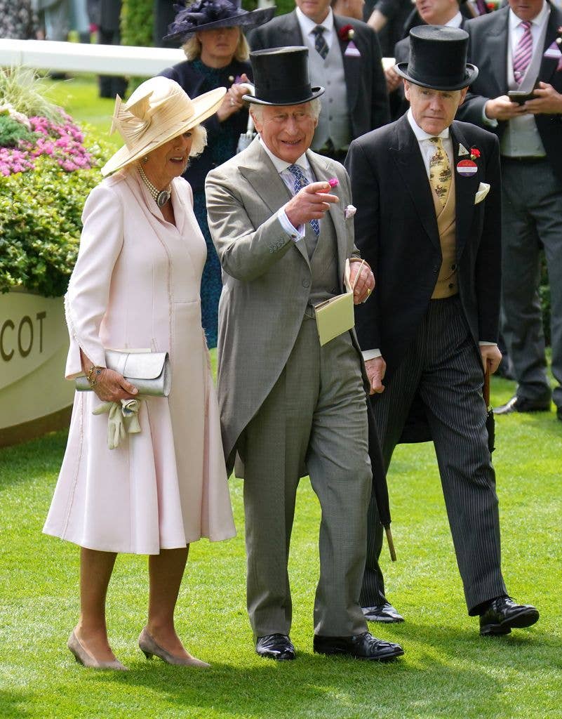 Vice Admiral Sir Tony Johnstone-Burt at garden party talking to King Charles and queen camilla