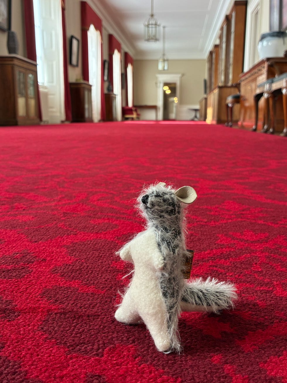 winnie the pooh roo new york public library Felt animal figure in a grand hallway.