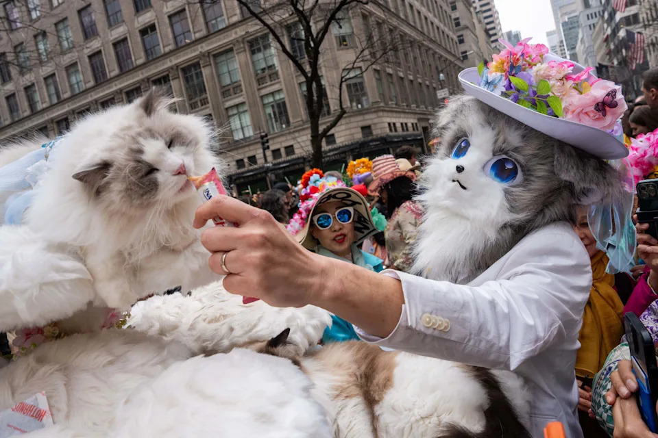 Stanley feeds his cat Picco during the Easter Parade and Bonnet Festival on Fifth Avenue, Sunday, April 5, 2026, in New York. (AP Photo/Adam Gray)