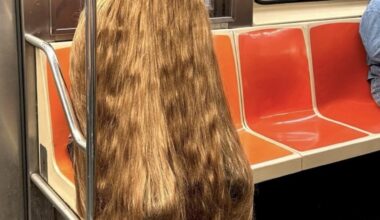 Yahoo entertainment home