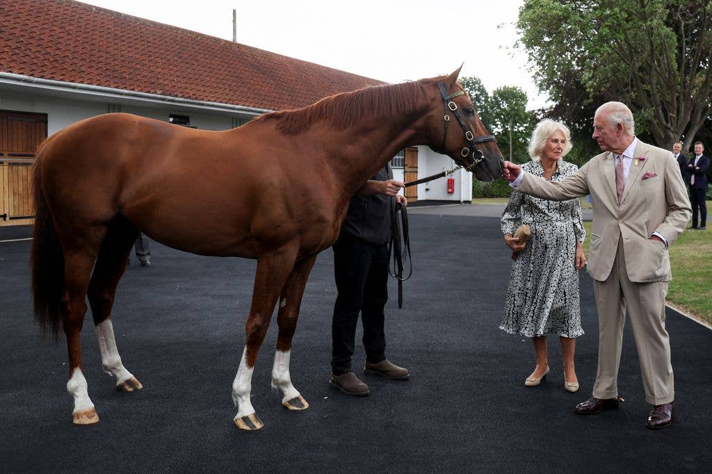 King Charles and Queen Camilla meet racehorse Stradivarius