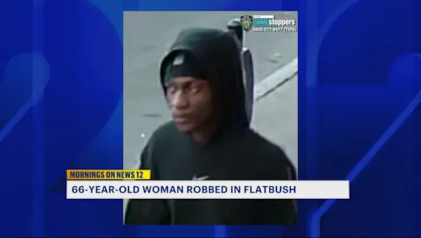 News 12 | Brooklyn | Purse-snatchers injure 66-year-old woman in Flatbush