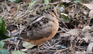 Yahoo lifestyle home