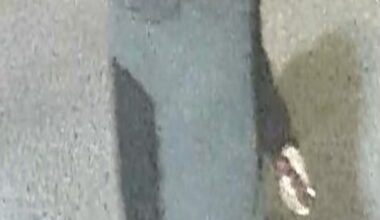 Kingsbridge: Man Sought for Robbing Woman