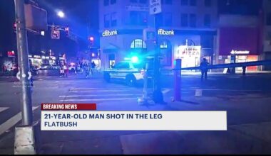 News 12 | Brooklyn | Man Shot In The Leg In Flatbush