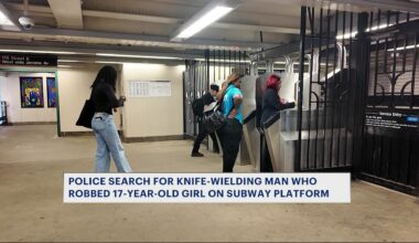 News 12 | Bronx | Police Search For Man Who Robbed A 17 Year Old Girl On Subway Platform At Knifepoint
