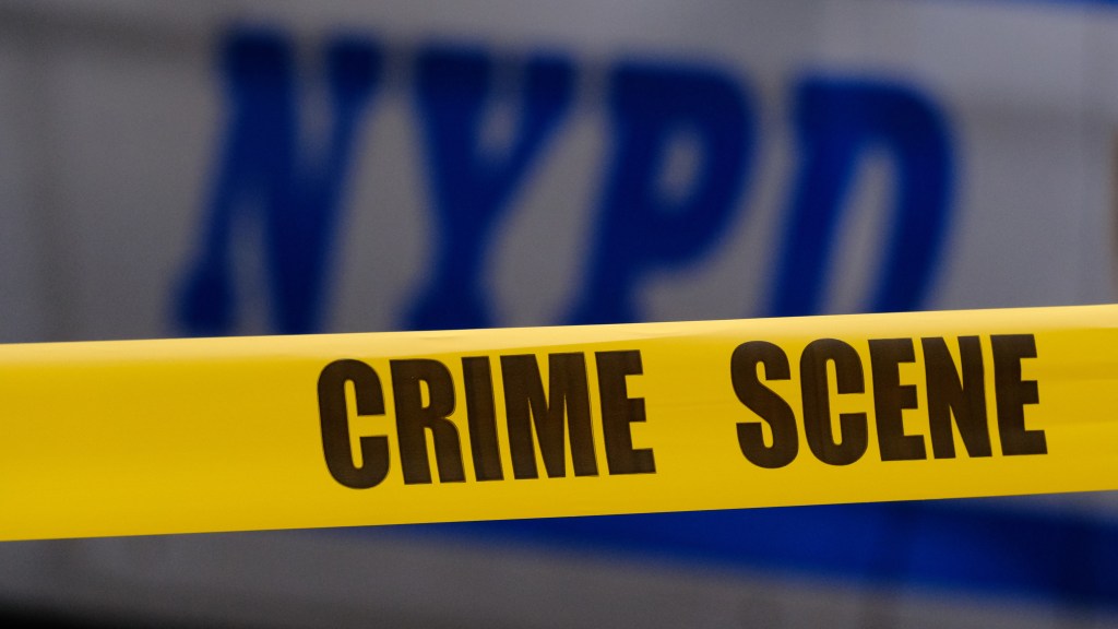Man in Mercedes van attacks 5 strangers in wild 30-minute Queens assault spree