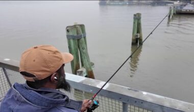 You can eat fish caught in Hudson for the first time in 50 years – NBC New York