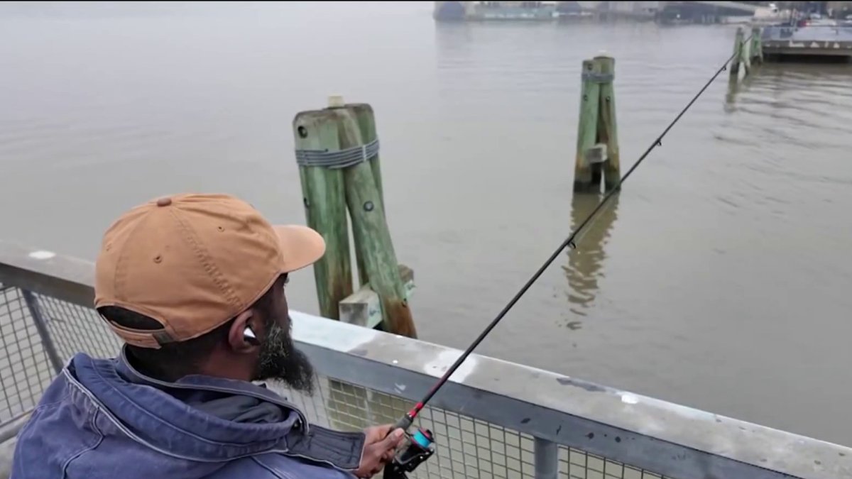 You can eat fish caught in Hudson for the first time in 50 years – NBC New York