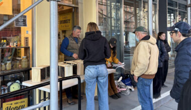 ‘A Shoe Box of 12,000 Flying, Singing, Venomous Creatures’