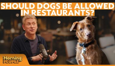 Are dog owners crossing the line in NYC restaurants?