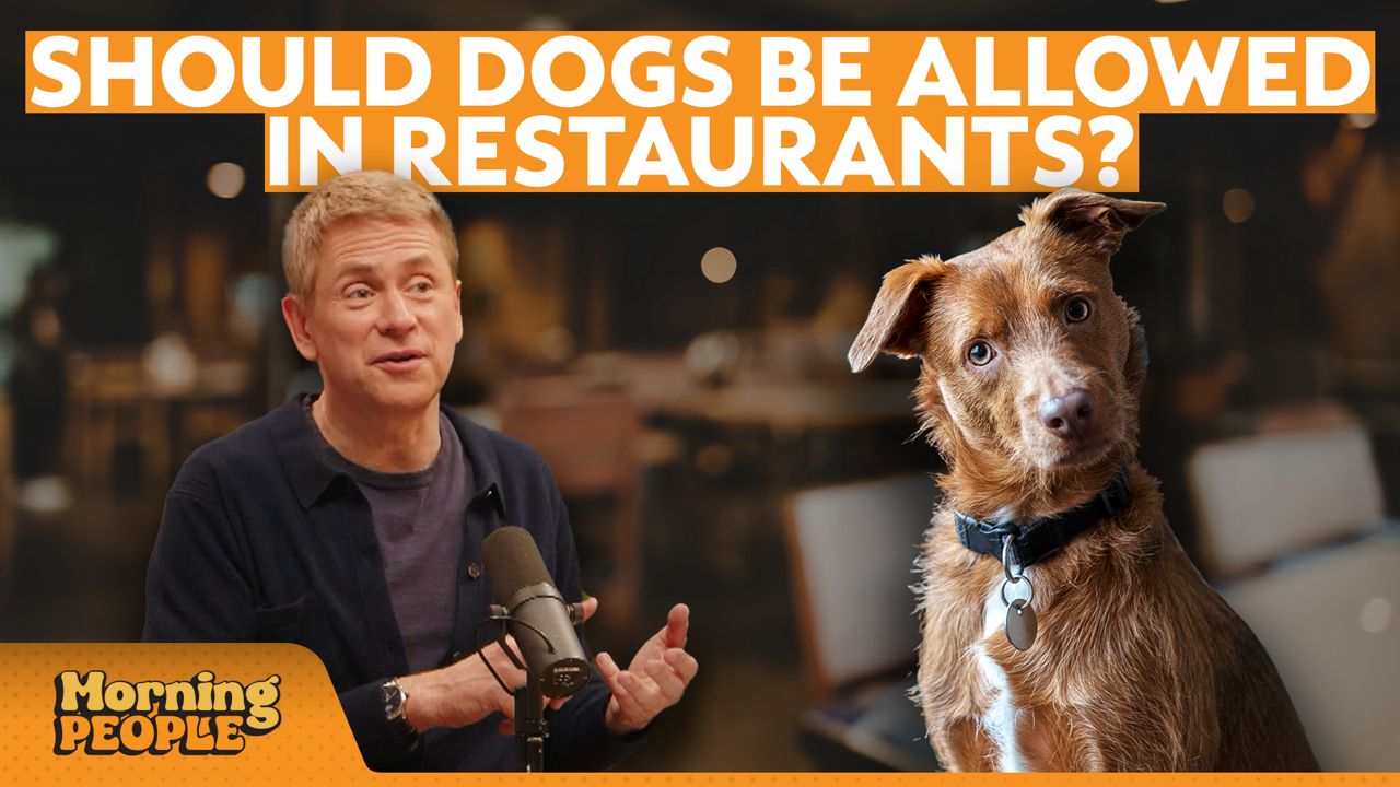 Are dog owners crossing the line in NYC restaurants?