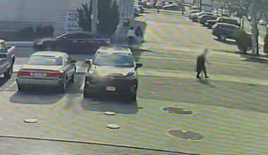 Long Island man tried to kidnap boy by luring him with money – NBC New York