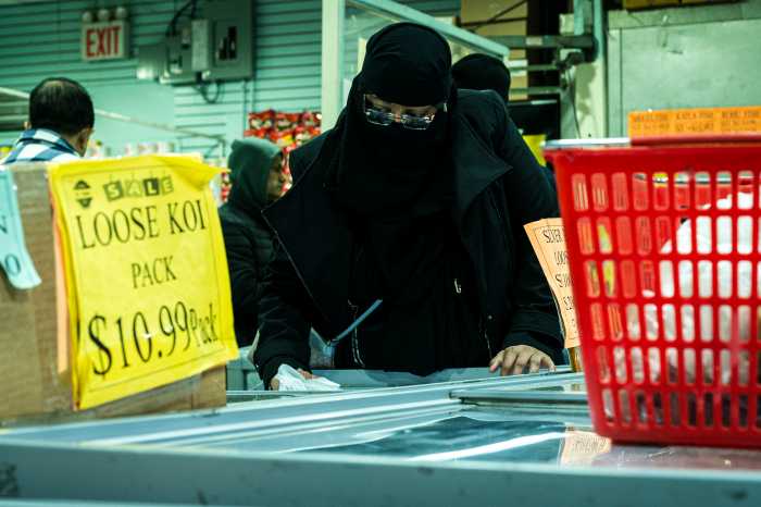 A shopper takes her pick of the frozen fish available, which includes local Bangladeshi species.