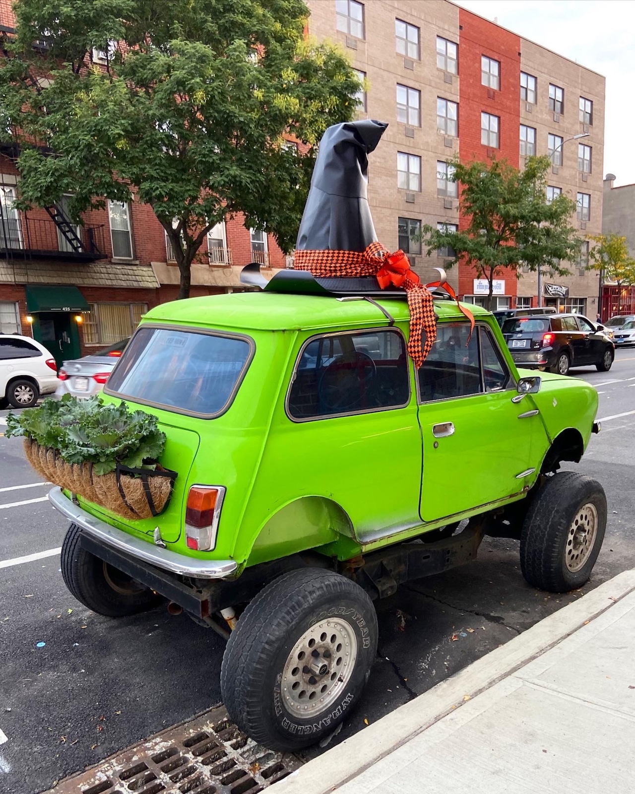 (Courtesy Maria Stylianou)