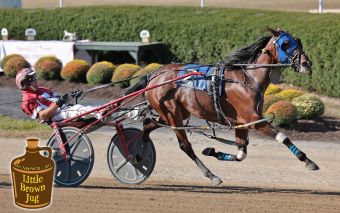 Blood Queen looks to keep progressing – U.S. Trotting News
