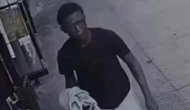 Boy, 9, punched in face, struck with cable charger by stranger in Bronx park
