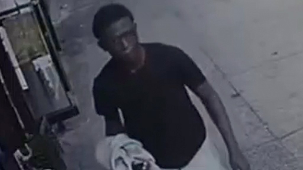 Boy, 9, punched in face, struck with cable charger by stranger in Bronx park