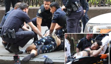 NYC straphanger stabbed during attempted robbery on moving subway