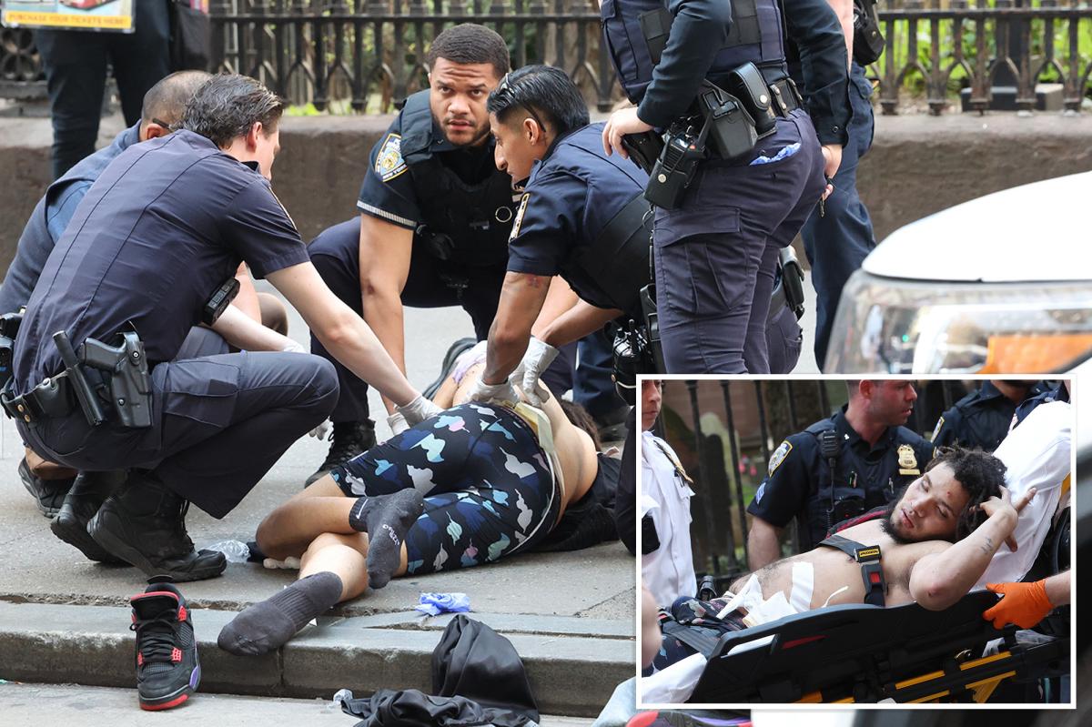 NYC straphanger stabbed during attempted robbery on moving subway