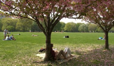 Doctor shares tips for managing allergies in the city