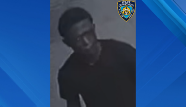Man accused of beating up small child in NYC park: NYPD