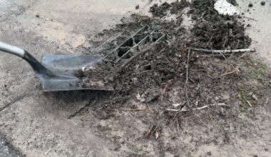 What you can do to help prevent neighborhood flooding