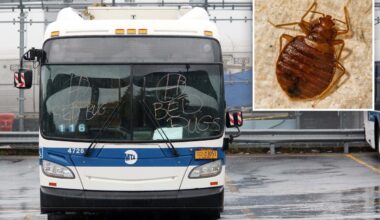 NYS bill would force MTA to tell riders about bed bug infestations