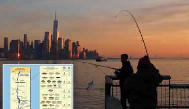 State says Hudson River fish is safe to eat after 50 years — but New Yorkers aren't biting