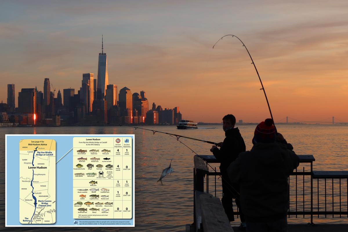 State says Hudson River fish is safe to eat after 50 years — but New Yorkers aren't biting