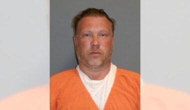 Greene County man arrested at JFK International Airport on weapons charges – Daily Freeman