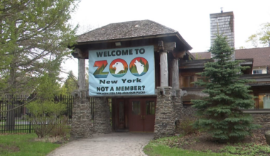 Zoo New York faces funding uncertainty, building repairs