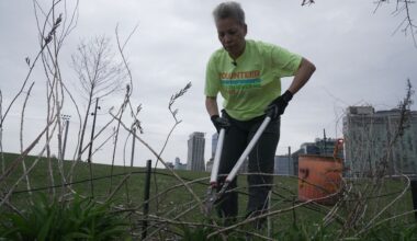 An appreciation for her local park