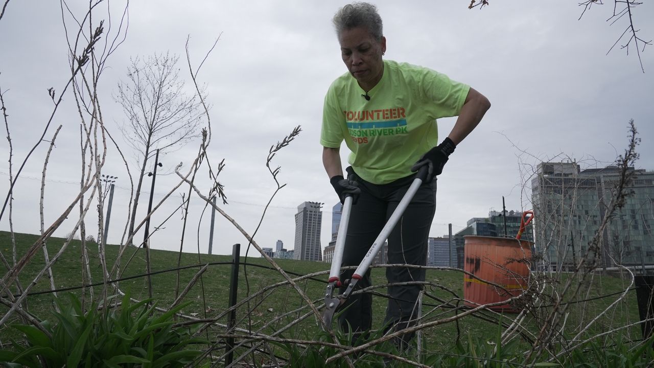 An appreciation for her local park