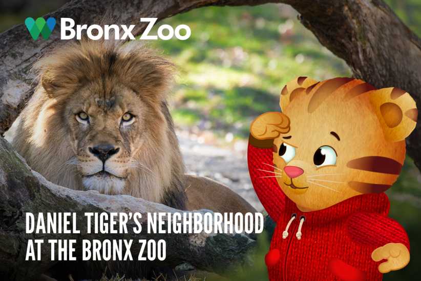 Daniel Tiger’s Neighborhood: New Live Show Coming to Bronx Zoo 