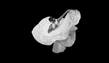 IMPRESSIONS: New York Flamenco Festival (Part II)