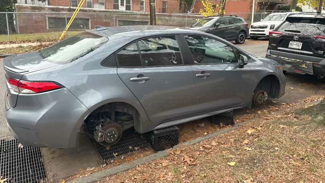 16 indicted for allegedly stealing cars, auto parts in Bronx