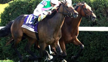 Expensive Queen And Segesta Dead-Heat In Jenny Wiley