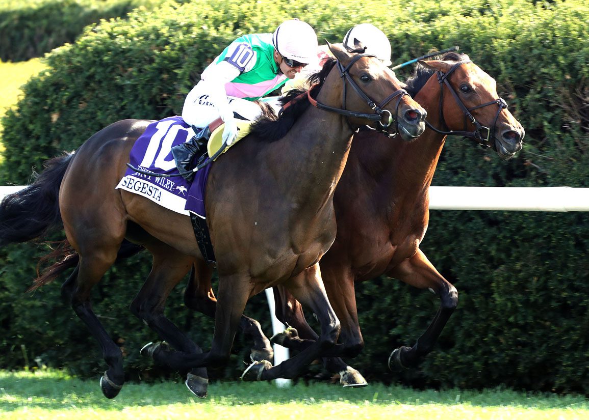 Expensive Queen And Segesta Dead-Heat In Jenny Wiley