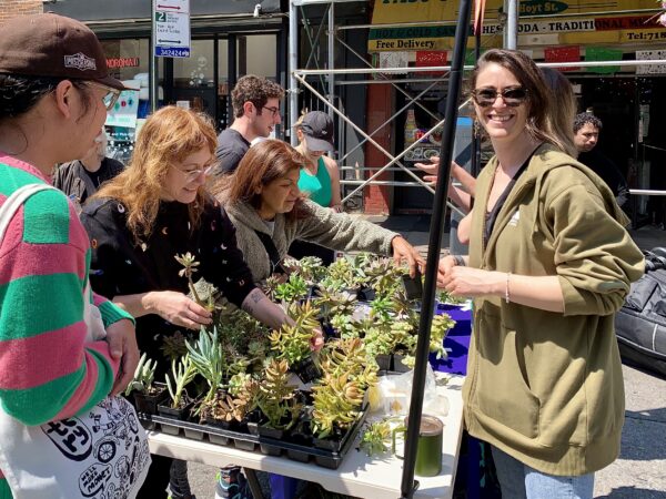 Open Streets returns to New York City for Earth Day. Shown: The Hort gave away free plants on Hoyt Street between State Street and Atlantic Avenue during 2024’s Open Streets. Photo: Mary Frost/Brooklyn Eagle