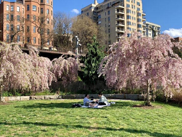 This couple celebrated Earth Day weekend in 2024 with a picnic in nature at Brooklyn Bridge Park. Numerous Earth Day events will take place in the park this year. Photo: Mary Frost/Brooklyn Eagle