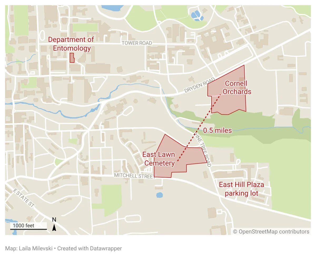 East Lawn Cemetery, New York State