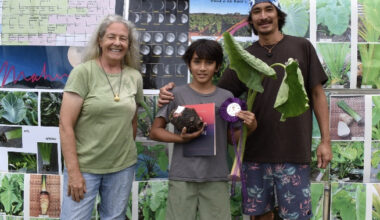 Queen’s Challenge taro contest recognizes local farmers | News, Sports, Jobs
