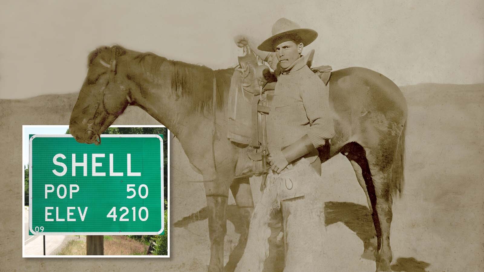 Cowboy State Daily logo