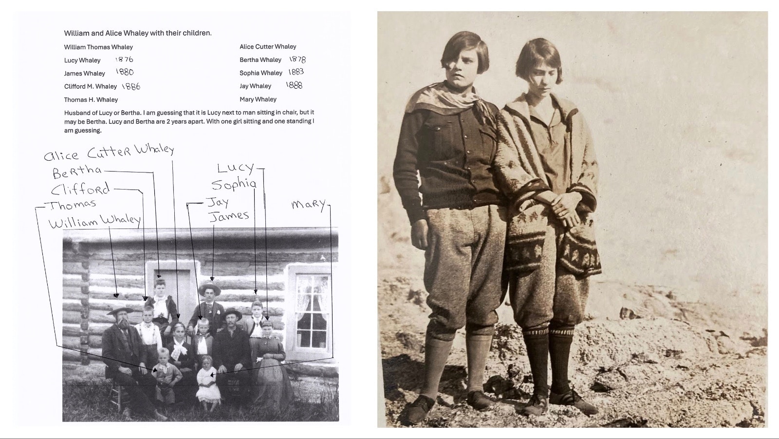 William and Alice Whaley arrived in Shell, Wyoming, in 1890 where they raised eight children. Seven remained in Wyoming but their son, Clifford, moved to New York for school. He raised his own family back East and kept in touch with his Wyoming family but, over the years, the families lost touch.