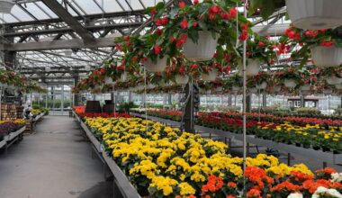 Prepping your lawn and garden for the season