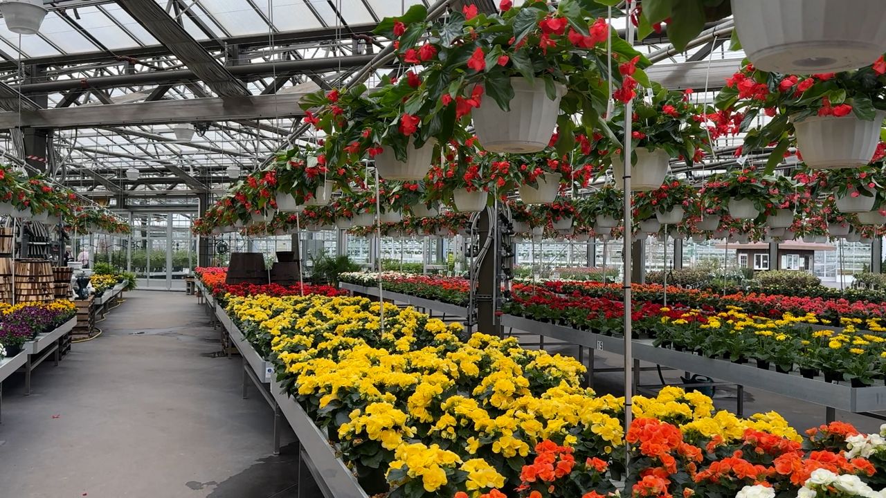 Prepping your lawn and garden for the season