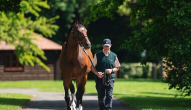 The King and Queen's Portcullis Dazzles, Named TDN Rising Star
